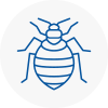 Bed Bug Extermination In Longton